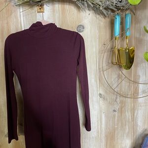 Bodycon Maroon TurtleNeck Dress